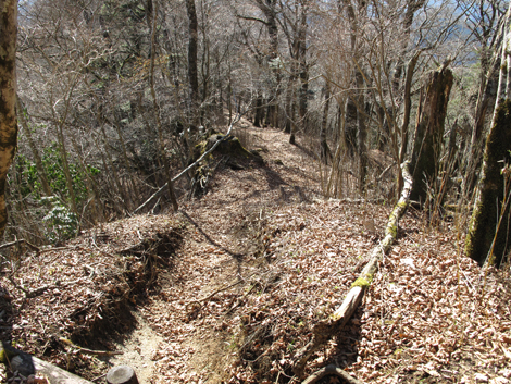 20161206hike (316)